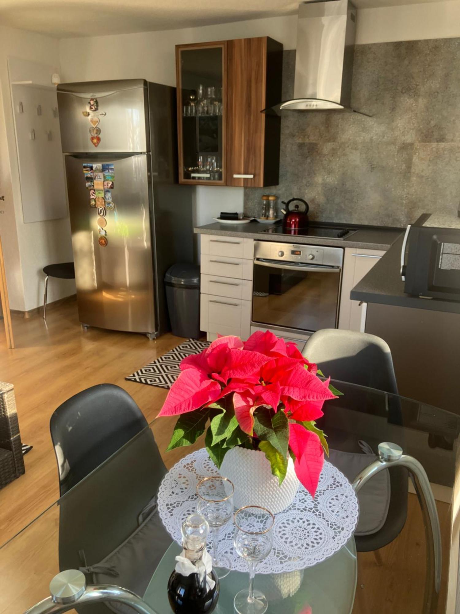 Apartman Karin Huty エクステリア 写真